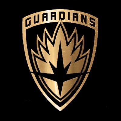Hey, we're the frickin Guardians of the galaxy. We're a bit of good and bad, but we protect the galaxy when it needs it (not affiliated with anyone)