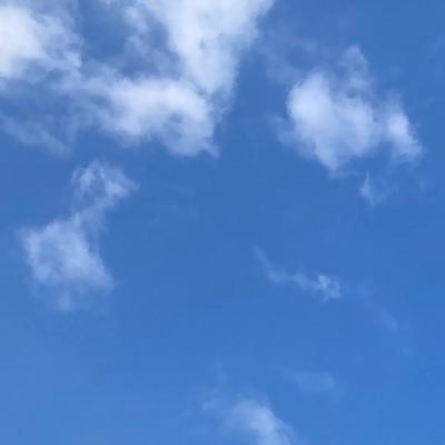 おかかさんのプロフィール画像