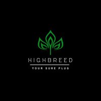High B R E E D (@officialplughb) 's Twitter Profile