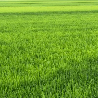 柏たなかで暮らす人 ちょっぴり刺激が欲しいと思いつつのんびり暮らせる柏たなかが好き 新しいトピックを探すのが難しいこの街で何とかネタを探していきたい(´・∀・`)よろしくです!家計のためお得生活したい!情報求むー✨️出没地🚗💨 #流山 #柏 #守谷 #野田 🆕