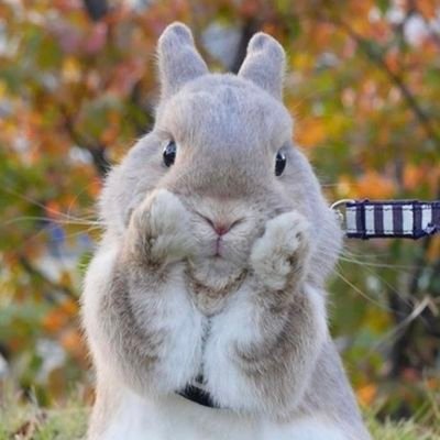 루키さんのプロフィール画像