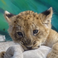 CheeseQueen1976's profile picture. https://t.co/Zd7HXDAexo

https://t.co/wuKlvOFoJf