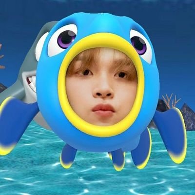 24 | multifandom✨ sunflower 🌻 nctzen💚 carat 💎 reveluv❤ engene🤍 my🥰 once💖 blink🖤 fearnot💕