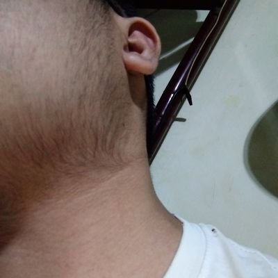 RedstoneBoy's profile picture. Humanista