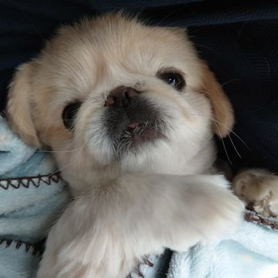 uNzu3mIBoEtfbaL's profile picture. 