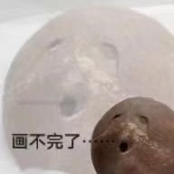 冬青叶 (@tqq_oo00ooqqq) 's Twitter Profile Photo