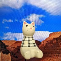 もふりて (@moffliness) 's Twitter Profile Photo もふりて (@moffliness) 's Twitter Profile Photo