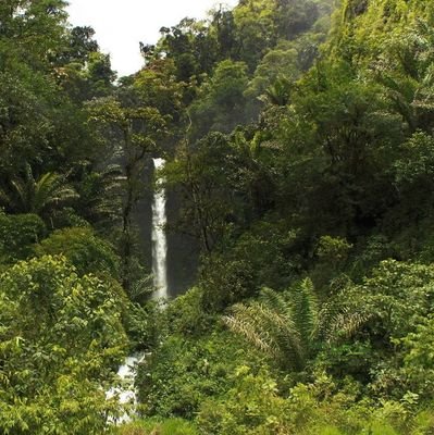 mindscreen9's profile picture. Fur n feather buff ..
Beak n paw follower 
Nest n forest fan