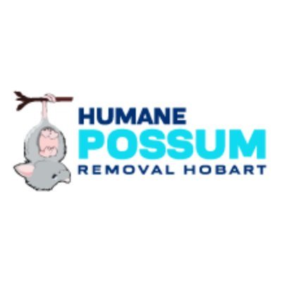 HumanePossumTAS's profile picture. Are you looking for an effective and professional possum removal Hobart service? If yes, Book our devoted possum removal Hobart team for efficient service.