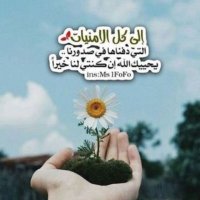 مشاعر القلوب (@zajrea86) 's Twitter Profile