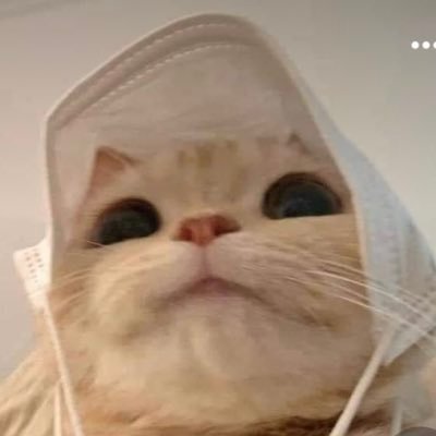 WWcBFU4zehImluh's profile picture. 