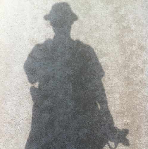 sjavatar's profile picture. ...