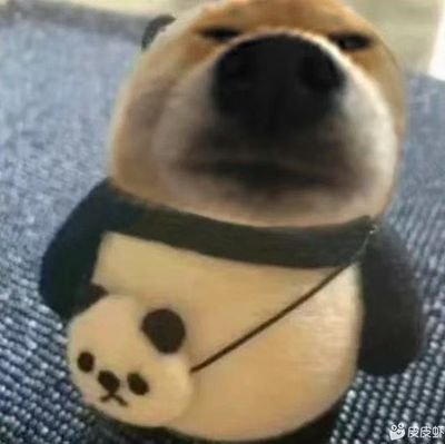 xmlhttprequest1's profile picture. q