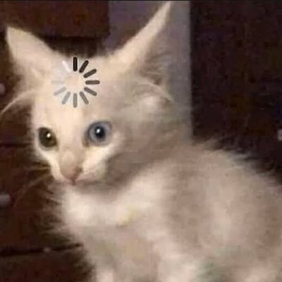 Lanseeさんのプロフィール画像