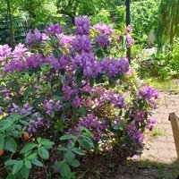 Paolo (@paolo618261612) 's Twitter Profile