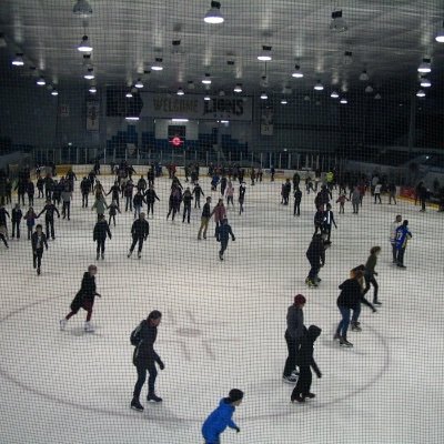 Murrayfield Ice Arena Profile