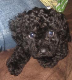 TheNoelleAdams's profile picture. Writer, director and producer of all things creative. Activist trying to make a positive difference in the world!