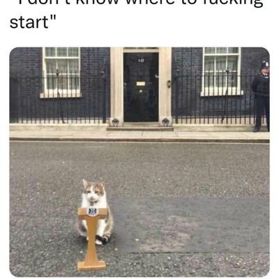 elizabeth0239's profile picture. Wife, mum, dog-lover, Ex-military, Far-Right thug.🟩⬜️🟪