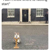 Elizabeth0239 (@elizabeth0239) 's Twitter Profile