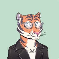 ๐ธJohnnyG_sol๐ธ๐ (@johnnyg_sol) 's Twitter Profile