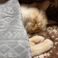 ミルズ (@claymoreboda) Twitter profile photo