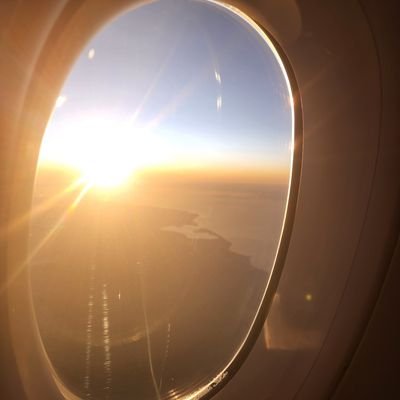 olimraf66's profile picture. 