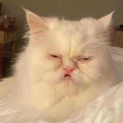 200819s's profile picture. За мир во всём мире 😔