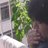 denguma4989's profile image