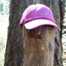 WABDthehuman's profile picture. Incognito human. One can never have enough cheese. I'll probably delete my account in the morning.