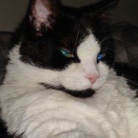JD 🇨🇦 (@janetdennie1) 's Twitter Profile Photo JD 🇨🇦 (@janetdennie1) 's Twitter Profile Photo