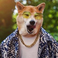 Mister Blessing (@blessingmister) 's Twitter Profile