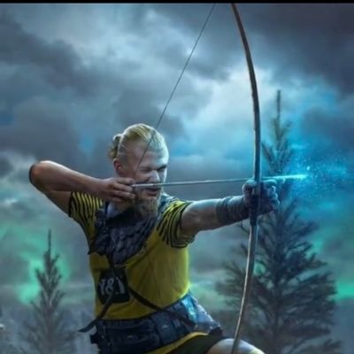 haaland_xrobot's profile picture. erling haaland🇳🇴