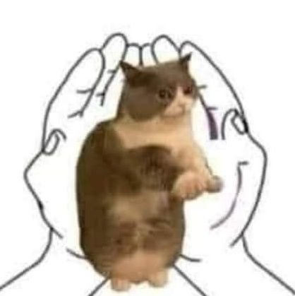 lou5667's profile picture. 