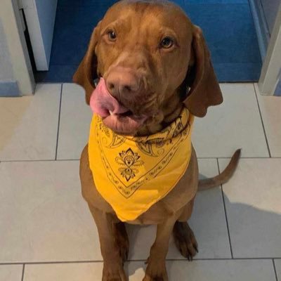 anastasia_bills's profile picture. 