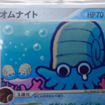 岩手(北上)　ポケモンが好き
ポケカアイリス待機