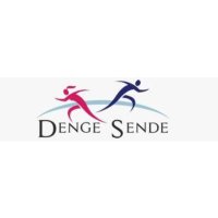 DengeSende(@dengesende) 's Twitter Profile Photo