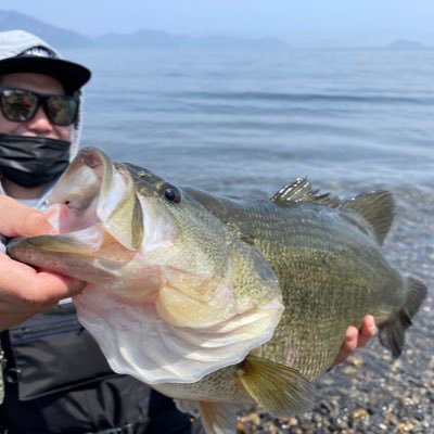 琵琶湖メインでちょくちょく釣りしてます。 ビックベイトでロクマル釣りたい…