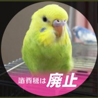 桜🌸🐾スイミーの赤い魚になりたい🌸(@harewataruskr) 's Twitter Profile Photo