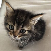Stop the world I want to get off ⧖ (@matslats) 's Twitter Profile