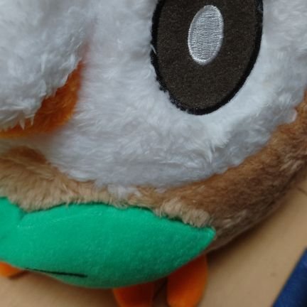 3rei's profile picture. 「さんれい」です。i☆Ris芹澤優。アークナイツ、IDOLYPRIDE-芽衣だよ。ららマジ復活希望。