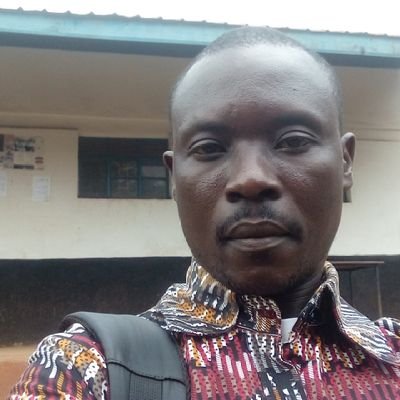 System i.c.t analyst, researcher.