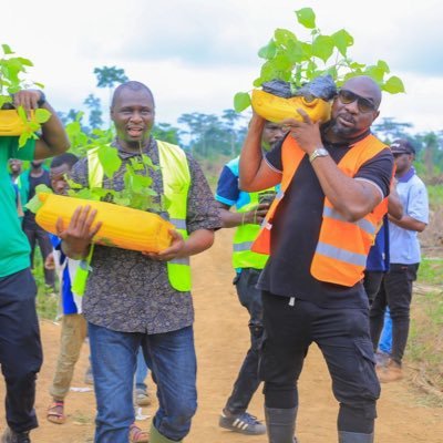 FondationYes's profile picture. 