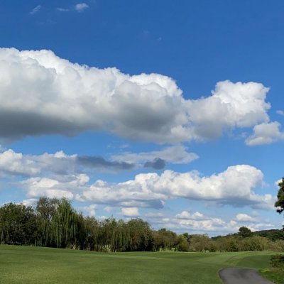 kkuu77078874's profile picture. no pain no gain