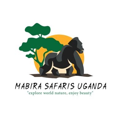 We are an award-winning Ecotourism Company based in Uganda, East Africa delivering outstanding adventure safaris and memorable tours.
+256788090001