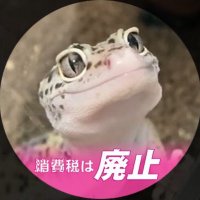 #太郎ちゃん 推しの🦎🍮TAKA8922🍮(@kakokako720914) 's Twitter Profile Photo