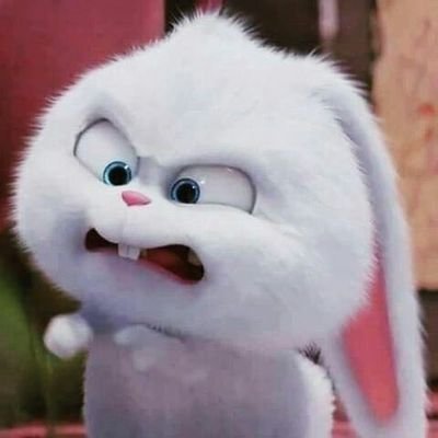 stoodiess's profile picture. 