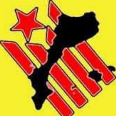 David02102497's profile picture. donec perficiam