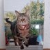C Mister fifi (@filoou59) Twitter profile photo C Mister fifi (@filoou59) Twitter profile photo