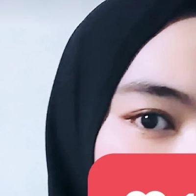Mazzini on Twitter: "@IdaSrfh Gak juga, jumlah puting kucing ada 8