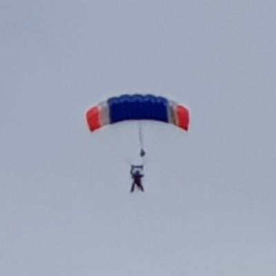 lecturedebla's profile picture. 